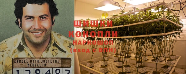 прущие крисы Армянск
