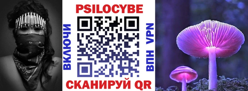 где продают   Красный Кут  Псилоцибиновые грибы Psilocybine cubensis 